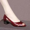 2024 Retro Ethnic Peep Toe Women's Chunky Heel Sandals - One-Strap Buckle for Middle-Aged and Elderly