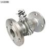SAGOONN 304 Stainless Steel Flanged Ball Valve