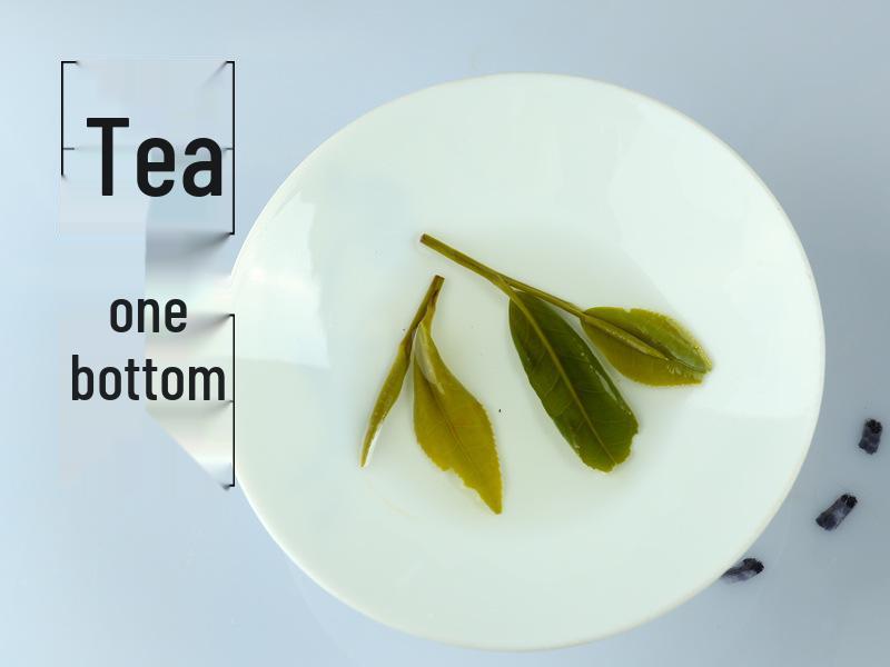 Emeishan Cloud & Mist Pre-Rain Green Tea: Tender Buds, Light Fragrance, Bamboo Leaf, Green Needle & Sparrow Tongue