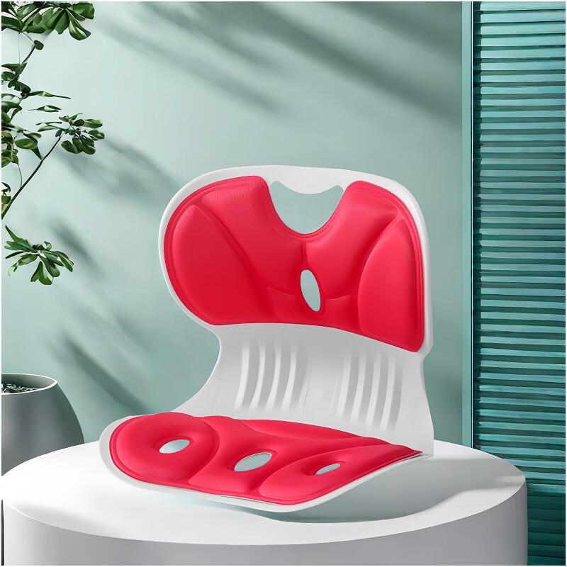 Shouli Ares Lumbar Support Posture Cushion