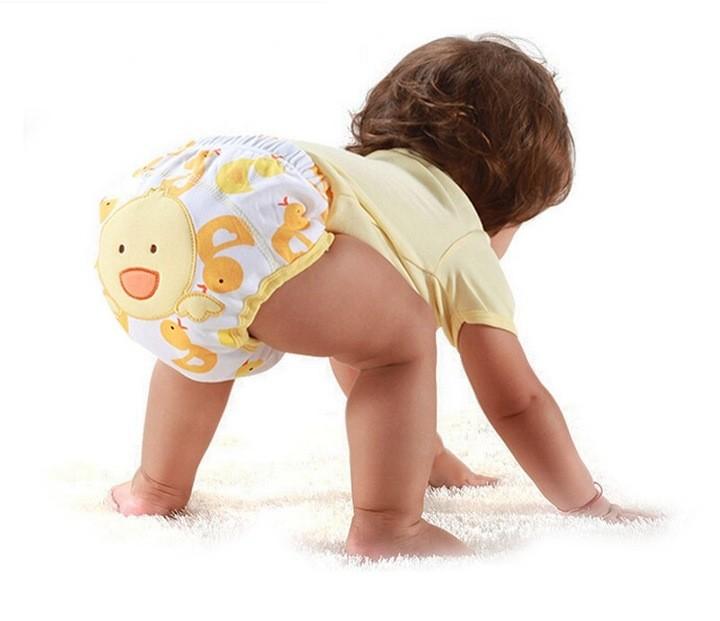 Training Panties Trainers Diaper Panties Underwear Flowers