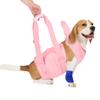 Dog Walking Aid Kit Auxiliary Collar Leash with Lifting Handle Pet Recovery Support for Old and