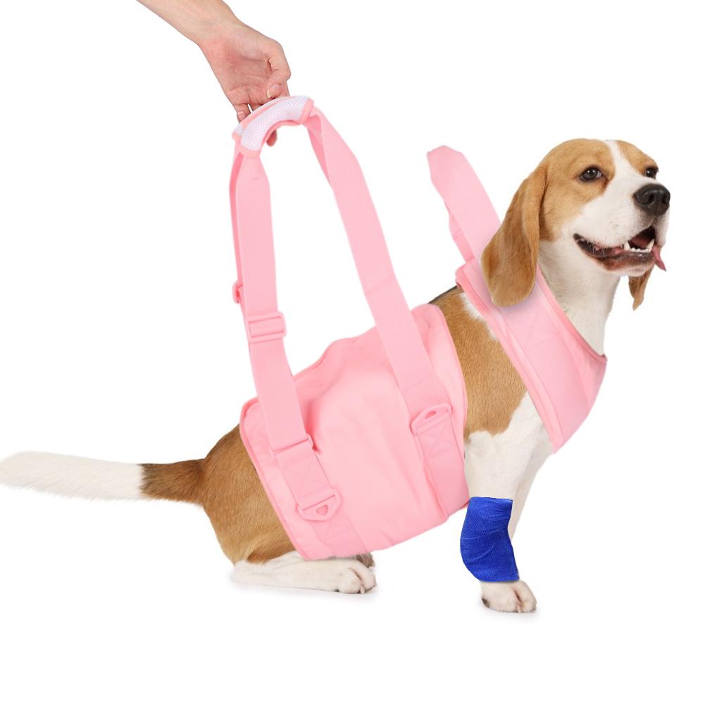Dog Walking Aid Kit Auxiliary Collar Leash with Lifting Handle Pet Recovery Support for Old and