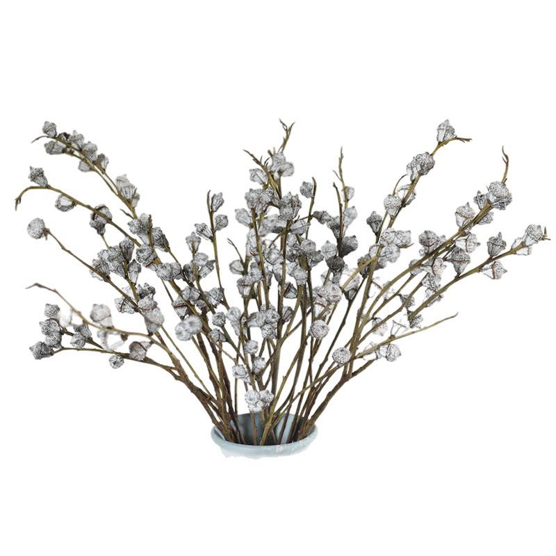 Yunnan Eucalyptus Dried Flowers with Small White Fruits - Medium and Large Diamond Eucalyptus Fruits for Home Decor.