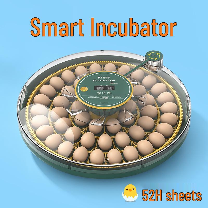 Smart Mini Egg Incubator for Parrots and Budgies: Automatic Pet Hatchery Equipment