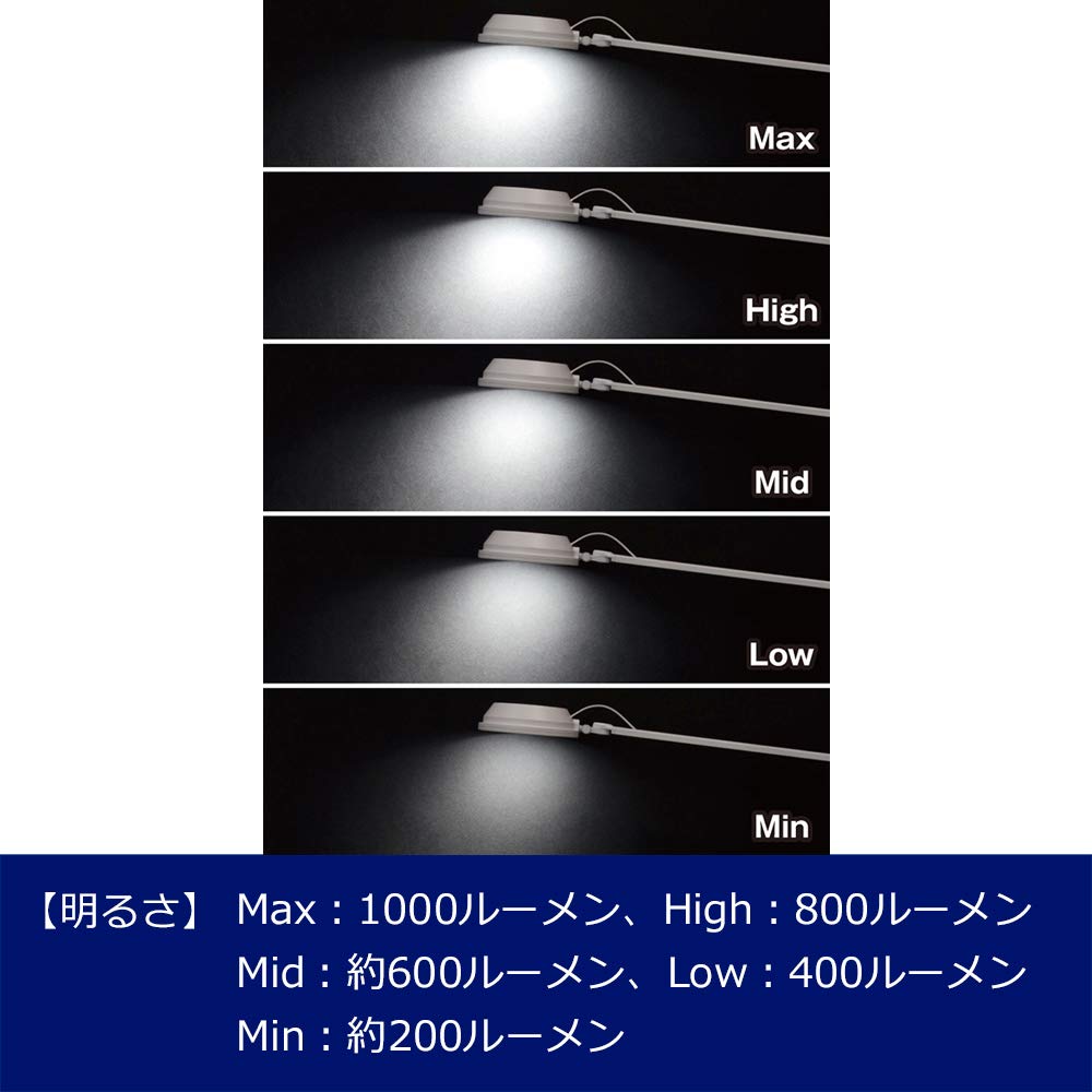 GENTOS Lumisus R105 LED Desk Light (1000 Lumens) White (DK-R105WH)