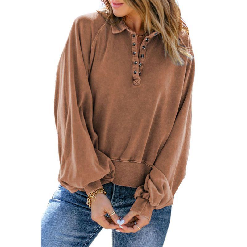 

and Winter New Arrival Solid Color Loose Long Sleeves Fleece Shirt Female Fashion Fashion Small Stand Collar Non-Hoodie Pullover Sweatshirt Female Brown 1017 2 Size XL Fit (87.50 kg-95.00 kg