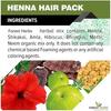Die Waldkräuter Natürliche Pflege aus der Natur Henna-Pulver (200 Gramm) Angereichert mit wertvollen Kräutern für Haarwachstum, Farbe & Pflege