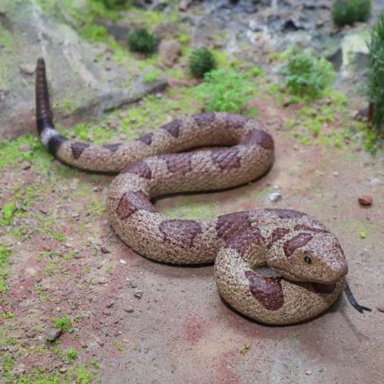 Jucărie de șarpe fals realistă Model de șarpe TPR moale Ține păsările departe Sperie veverițe Șarpe simulat Recuzită dificilă Copii adulți petrecere de Halloween Gag cadou