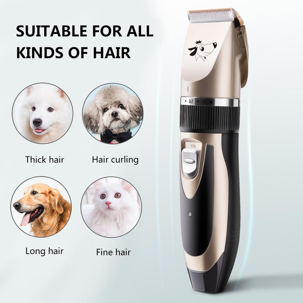 dog clippers prices