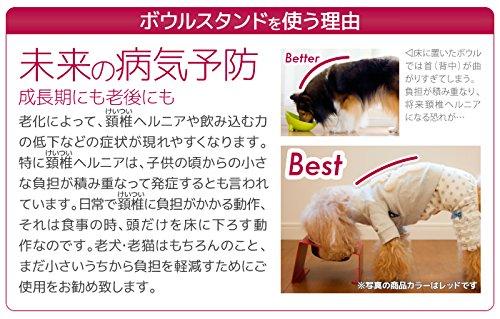 MATUMI Hours Food Bowl Table, Stainless Steel, Medium