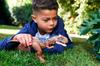 Mattel Jurassic World New Ruler Action Figure, Roaring! Rajasaurus [Total Length: Approx. 26cm] [Ages 4 and Up] HDX35 Brown, Medium