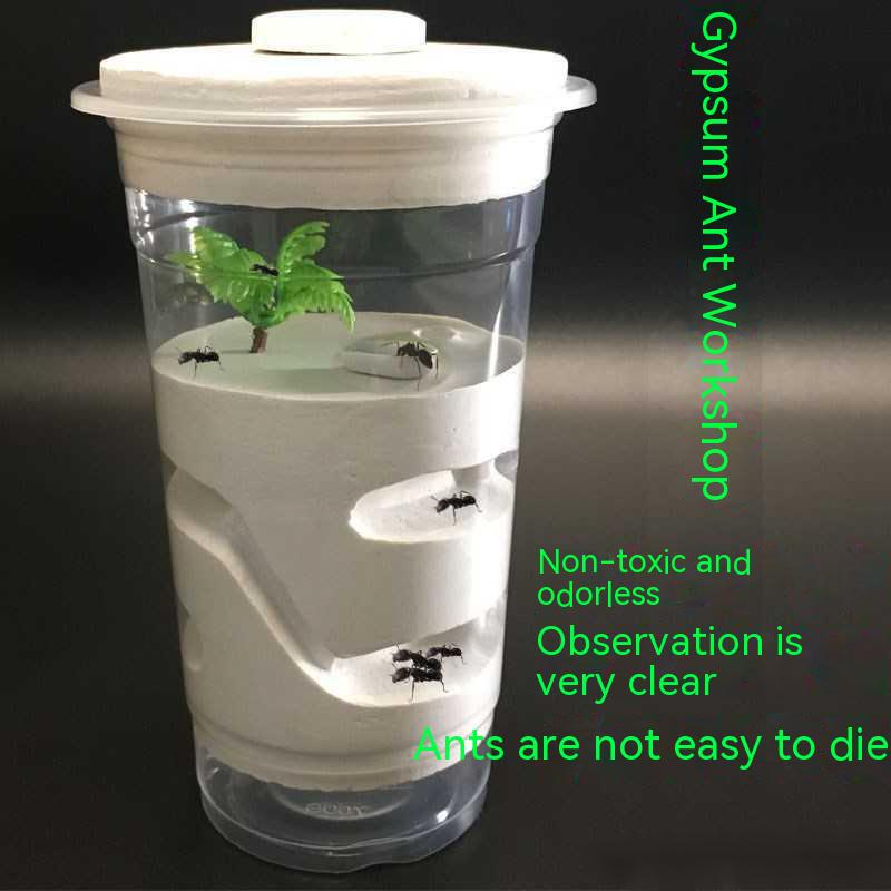 

Муравьиный замок Муравьиная вилла Муравьиное гнездо Муравьиный ящик Товары для муравьев Товары для домашних животных Муравьиный пластырь Гнездо Муравьиная мастерская Домашний подарок Товары для разведения насекомых