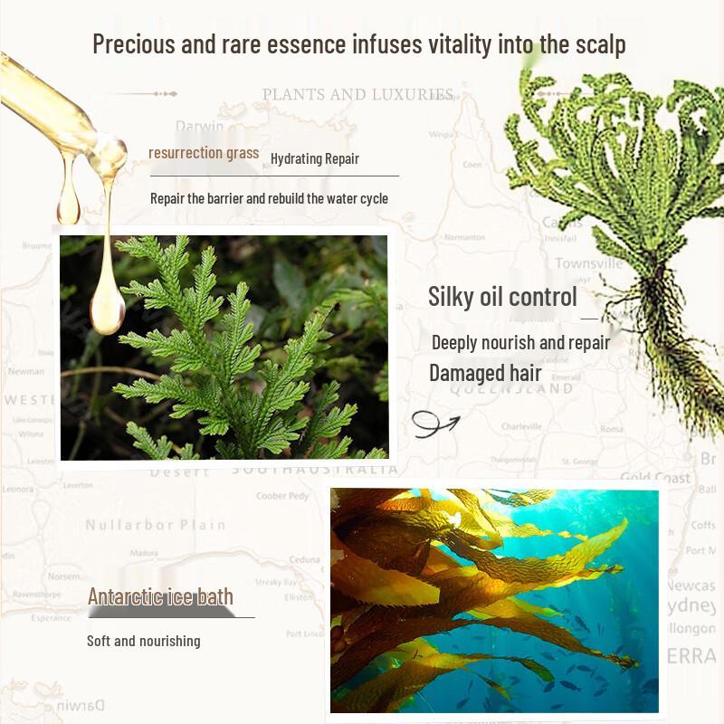 Plant Language Essential Oil Oil Control Volumizing Shampoo