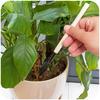 3Pcs Mini Gardening Tool Set, Small Trowel Rake Shovel for Succulent Seedling, Metal Hand Tools for Planting Flowers