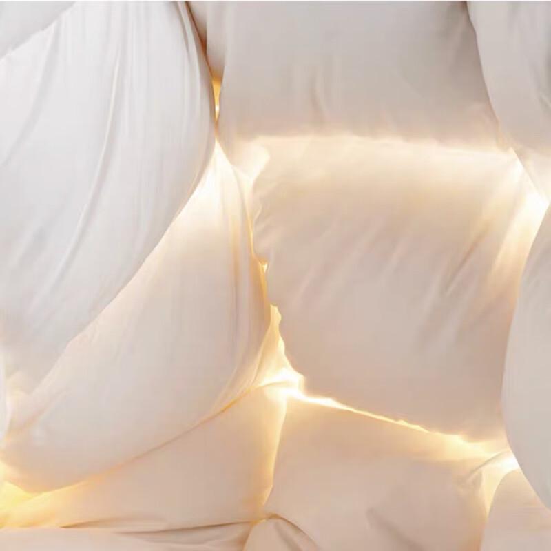 Dongfang Shiguang Ultra-Fine Fiber All-Season Duvet