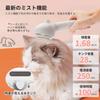 Gagaciso Pet Brush New for Dogs and Hair Spray USB Steaming Cat Slicker Cat Dog Pet Grooming Brush for and Long Fully Gentle on the Suitable for Cats