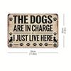 Vintage Tin Sign Funny Dog Wall Decor Metal Poster