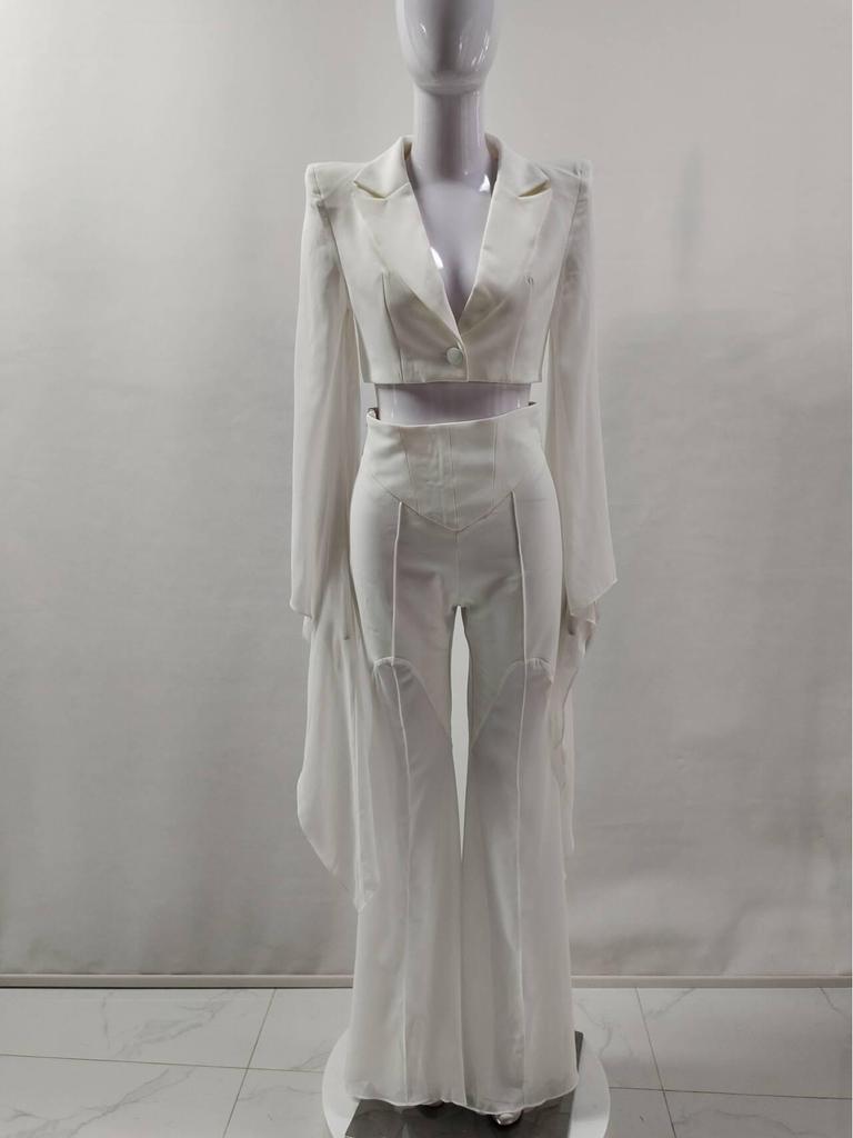 Women's Sheer Wide-Leg Blazer Set