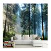 Size 3D Wall Murals Morning Forest Landscape Murals  For Living Bedroom Wall Home Decor Wallpaper