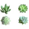 Miniature Artificial Potted Plant Set Of 11 Artificial Potted Plant Decoration For Home Office Table Centerpieces