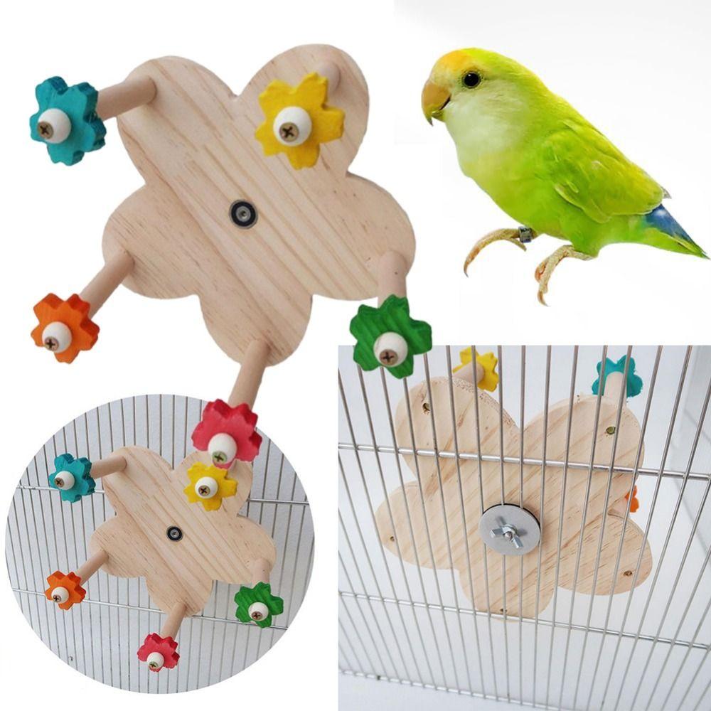 Dewireaey Vogelsitzstange Drehbar – Holz Spielzeug Für Kanarienvogel, Sittich & Co., Interaktiv