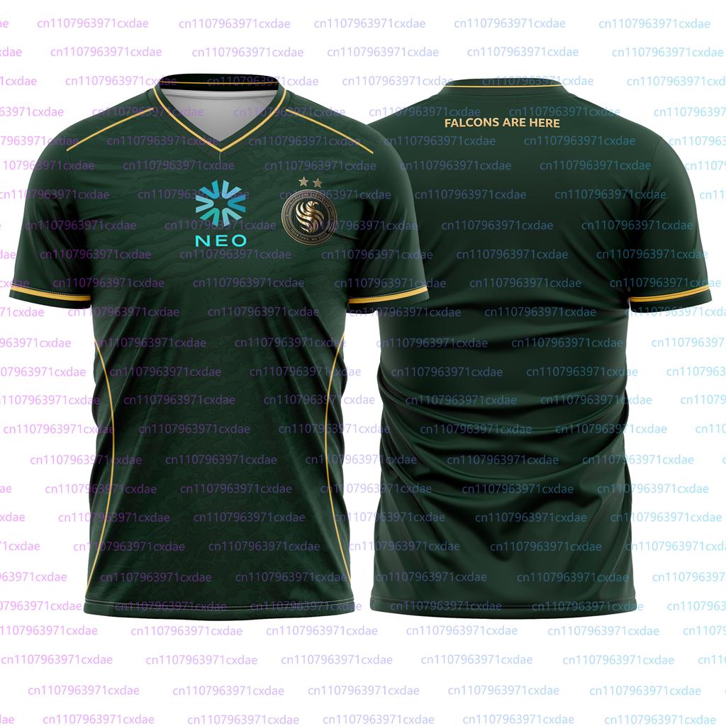 Team Falcons 2026 Training Uniforms CS2 Esports Karrigan Fans Jersey New Design Gaming Custom ID T-shirts Men's 3D V -Neck Tees