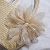 2025 Simple Straw Bag: Women's Pastoral Ins-Style Handbag for Beach Vacations