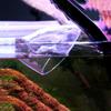 Acrylic Fish Tank Pipe Horn Outlet 12/16/22mm Aquarium Pipe Outlet  Fish Tank