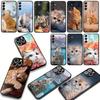 Kitten Cat Cover Phone Case for OPPO A18 A16 A17 A38 A54 A40 A60 A80 A78 A79 A57 A55 A96 A15 A53