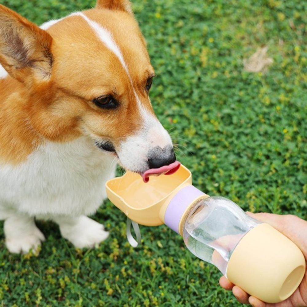 Multi-functional Cat Ear Shaped Pet Water Bottle 2 In 1 Dog Water Bottle Drinking Bowl Camping