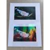 25 Sheets A4 Size Clear Holographic Cold Laminate Sheet Premium Overlay Laminating Self-Adhesive Sheets