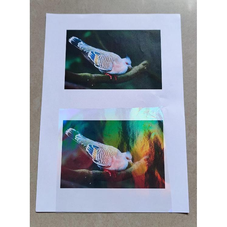 25 Sheets A4 Size Clear Holographic Cold Laminate Sheet Premium Overlay Laminating Self-Adhesive Sheets