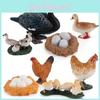 Pvc Farm Animal Growth Cycle Model With Static Duck Goose Hen Egg Incubation Display For Education
