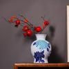 New Chinese Style Multicolor Porcelain Vase for Hydroponic Flower Arrangement – Home Decor