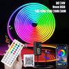 Rgb Neon Led Light Strip Dc24V Outdoor Waterproof 5M 30M 10/15/20 Meters Neon Led Tape Bluetooth App Smart Neon Led Bar Ribbon