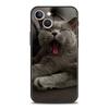 British Shorthair Cat Luxury Phone Case For iPhone 11 12 13 14 15 16 Pro Max Mini X XR XS 7 8 Plus SE Silicone Cover Black Funda