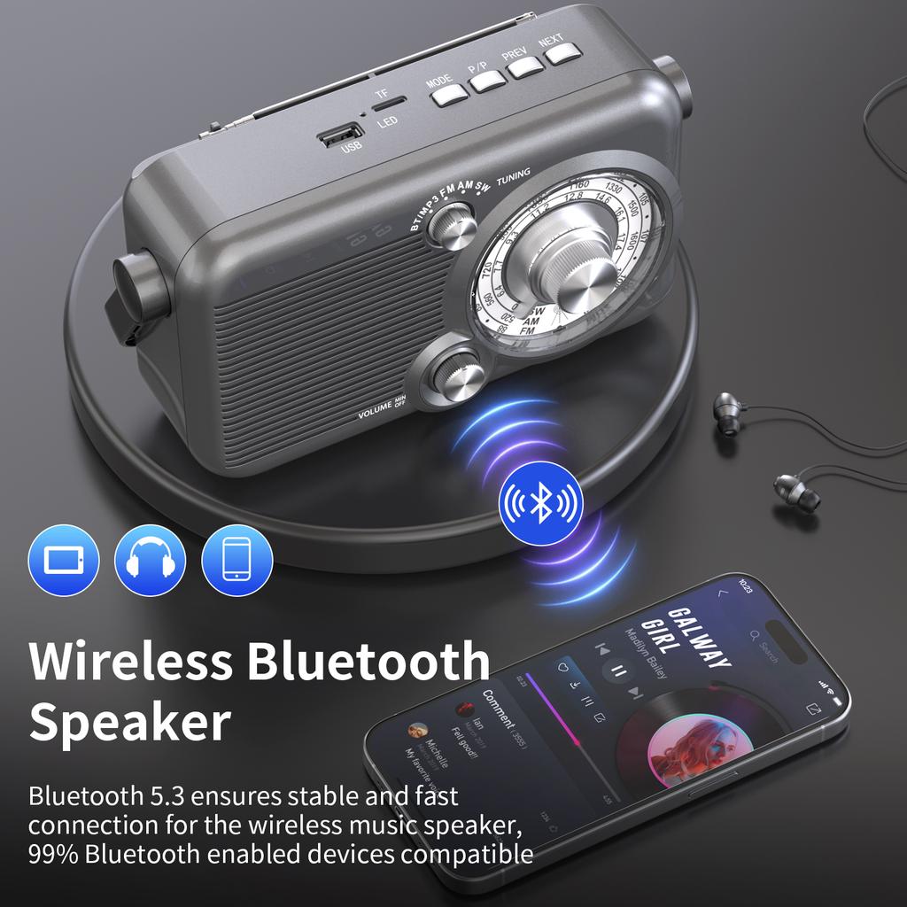 Portable Retro FM AM SW Radio Full Band DSP Radios Wireless Bluetooth Speaker Subwoofer Support TF Card U Disk 3.5mm Headphones