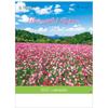 Todan 2027 Wall Calendar with Memo Space Japanese Scenery TD-900