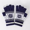 Autumn and Winter Touch Screen Gloves Men's and Women's Fashion Snowflake Finger Split Fleece Thickened Knitted Warm Gloves