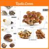 Set Realista de Hongos con Shiitake Comestible, Enoki, Matsutake, Sombrero Venenoso, Modelos Decorativos, Ideal Para Exhibición en el Hogar