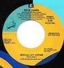 7inch Record RICK JAMES  Sexual Luv Affair 727764 Reprise Records 1988 US SoulFunk Used