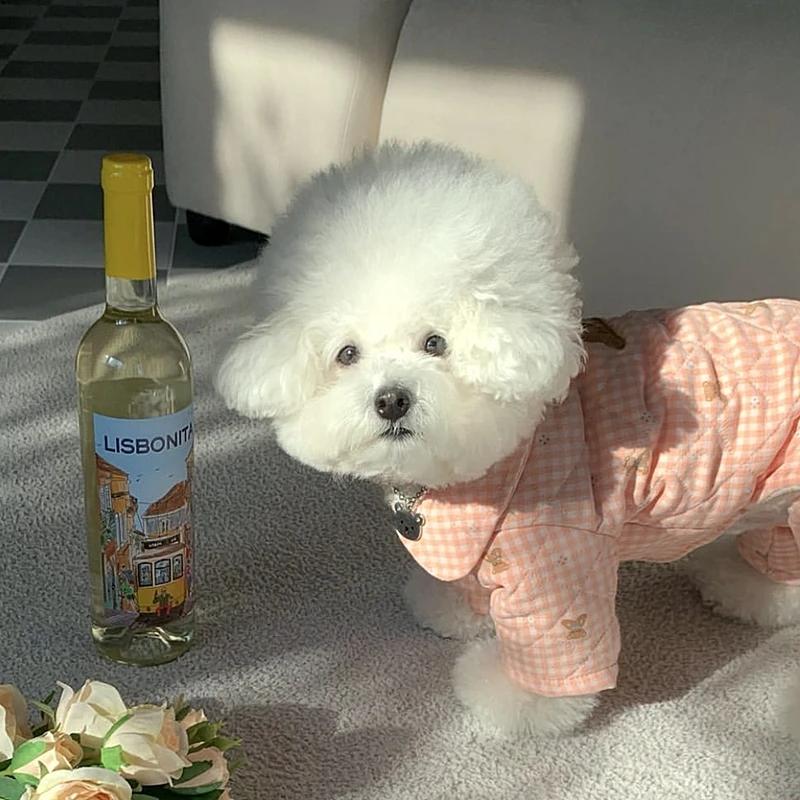 Pet Dog Four-legged Cotton Clothes Teddy Coat Winter Warm Clothes Small Dog Cartoon Clothes Poodle Thickening Jumpsuits Jackets