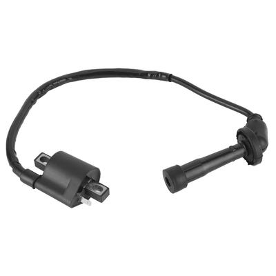Bobine d'allumage pour Yamaha Grizzly 660 YFM660 2002 2003 2004 2005 2006 2007 2008 Pièces de VTT