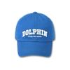 DOLPHIN WAVE APPAREL Dolphin Authentic Logo Ball Cap_123822BL