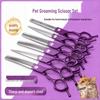6.5" Purple Dual-Use Curved Pet Grooming Scissors for Hair Trimming & Shaping