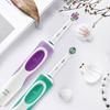 D12 Rotating Electric Toothbrush