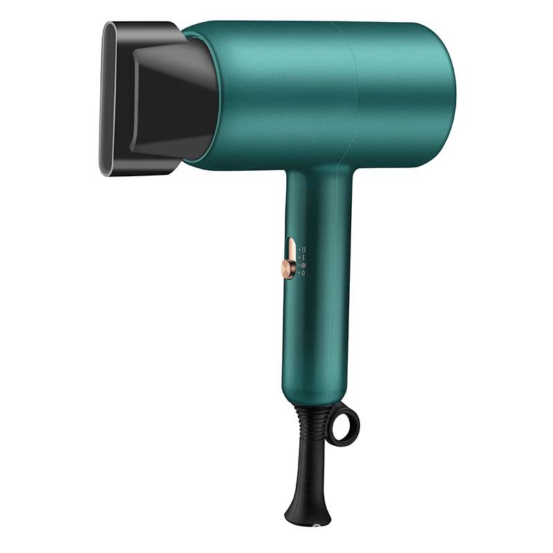 LISM Wall-Mounted Negative Ion Hair Dryer