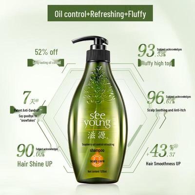 Ziyuan Sapindus Ölkontrolle & Stärkung Shampoo Set