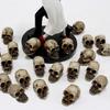 Couvre-chef Squelette et Tête de Fantôme pour Halloween: 20pcs Pierre de Pavage Décoration pour Micro Paysage et Pots de Fleurs